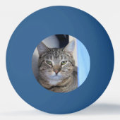 Cat Ping Pong Ball Tischtennisball (Rückseite)