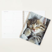 Cat planner planer (Anzeige)