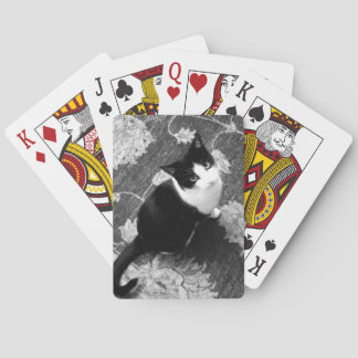 Cat Playing Cards Spielkarten
