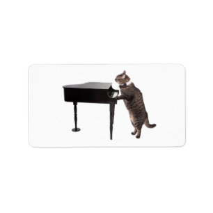 Cat Playing Piano Adressaufkleber