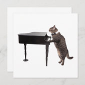 Cat Playing Piano Ankündigung (Vorne/Hinten)