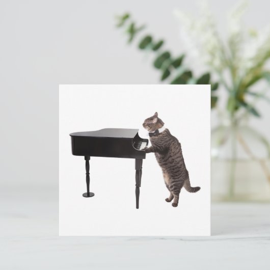 Cat Playing Piano Ankündigung (Stehend Vorderseite)