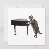 Cat Playing Piano Ankündigung (Vorderseite)