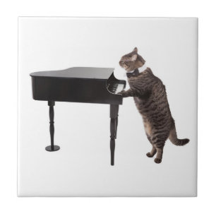 Cat Playing Piano Fliese