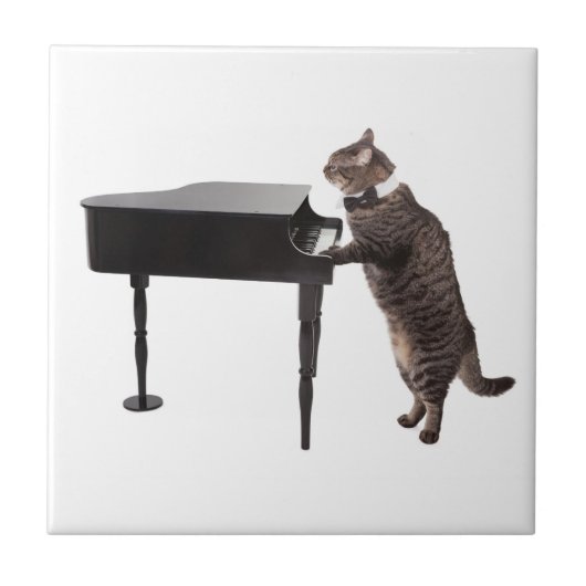 Cat Playing Piano Fliese (Vorderseite)