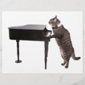 Cat Playing Piano Flyer (Vorne)