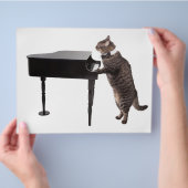 Cat Playing Piano Flyer (Hand)