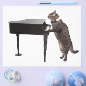 Cat Playing Piano Flyer (Einzeln)
