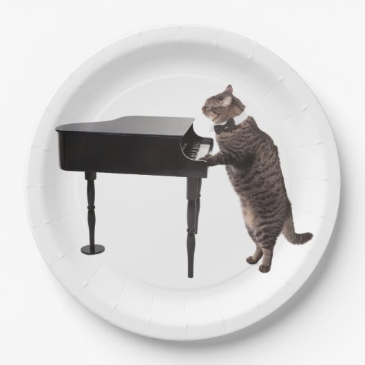 Cat Playing Piano Pappteller (Vorderseite)