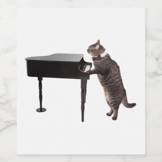 Cat Playing Piano Weinetikett (Einzelnes Label)