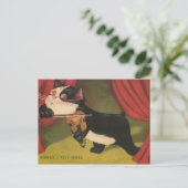 Cat Playing Sonet auf Violine ab 1909 PC Postkarte (Stehend Vorderseite)