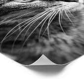 Cat-Portrait - der Denker Poster (Ecke)