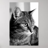 Cat-Portrait - der Denker Poster (Vorne)