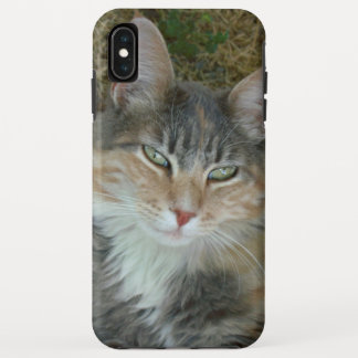 Cat Portrait 😺 Fall Case-Mate iPhone Hülle