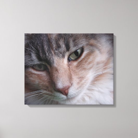 Cat Portrait Leinwanddruck (Vorderseite)