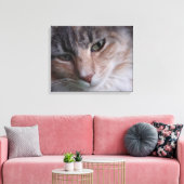Cat Portrait Leinwanddruck (Insitu (Wohnzimmer))