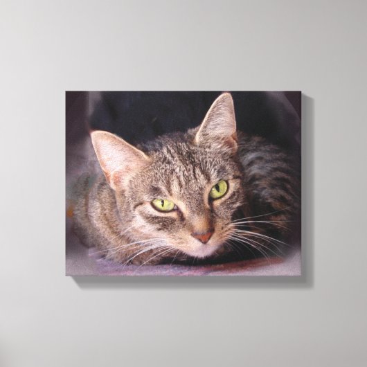 Cat Portrait Leinwanddruck (Vorderseite)