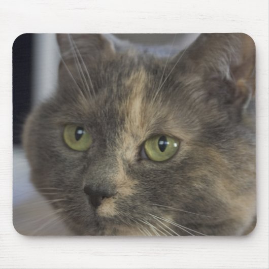 Cat Portrait Mousepad (Vorne)