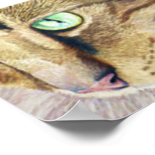 Cat Portrait Poster (Ecke)