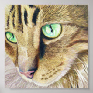 Cat Portrait Poster