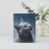 Cat Portrait Postkarte (Stehend Vorderseite)