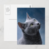 Cat Portrait Postkarte (Vorne/Hinten)