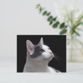 Cat Portrait Postkarte (Stehend Vorderseite)