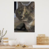 Cat Portrait Print Poster (Küche)
