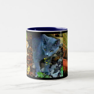 CAT-PORTRÄTS ZWEIFARBIGE TASSE