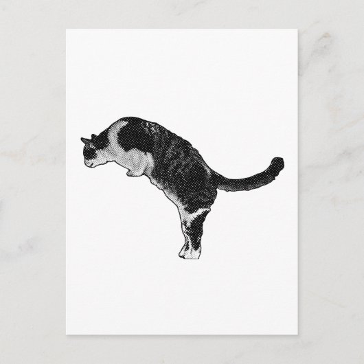 Cat Pose Joy Postkarte (Vorderseite)