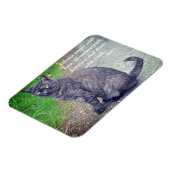 Cat posiing II Motivierend buddhistisches Zitat Magnet (Linke Seite)