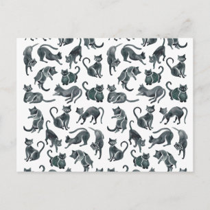 Cat Positionen - Black Palette Postkarte