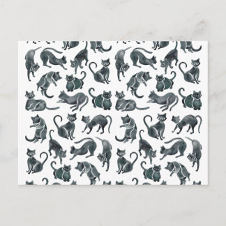 Cat-Positionen - Schwarze Palette Postkarte