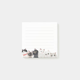 Cat Post it Note Post-it Klebezettel