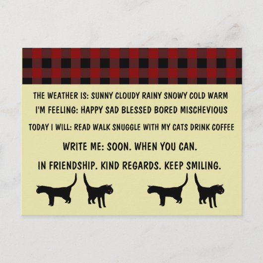 CAT POSTCARDS, lustig für BUSY PERSON Postkarte (Vorderseite)