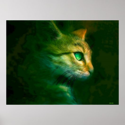 CAT POSTER (Vorne)