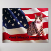 Cat Poster All American (Vorne)