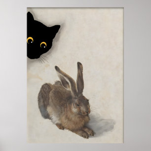 Cat Poster Vintag Durero Rabitt