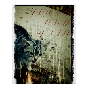 Cat Poster - Young and Wild