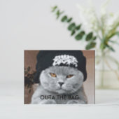 CAT POSTKARTE (Stehend Vorderseite)