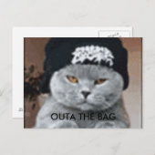 CAT POSTKARTE (Vorne/Hinten)