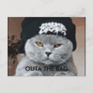 CAT POSTKARTE