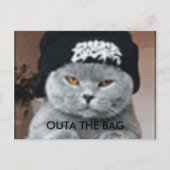 CAT POSTKARTE (Vorderseite)