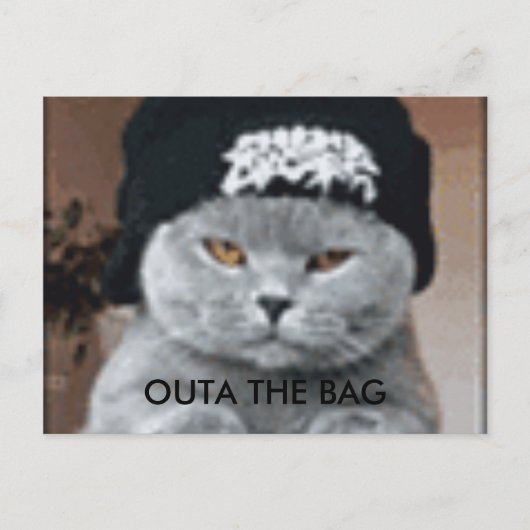 CAT POSTKARTE (Vorderseite)