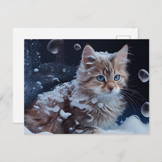 CAT-Postkarten Postkarte (Vorne/Hinten)