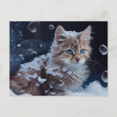 CAT-Postkarten Postkarte (Vorderseite)