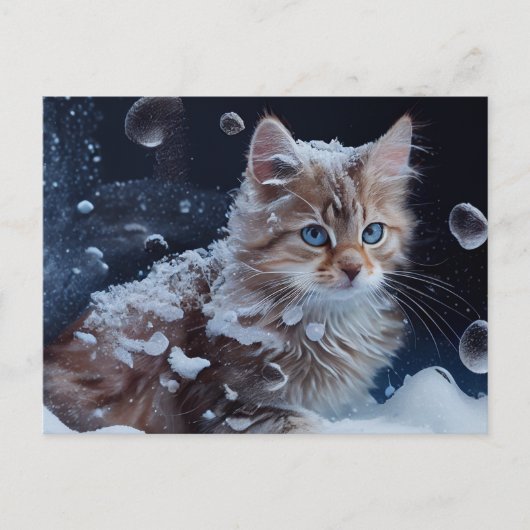 CAT-Postkarten Postkarte (Vorderseite)