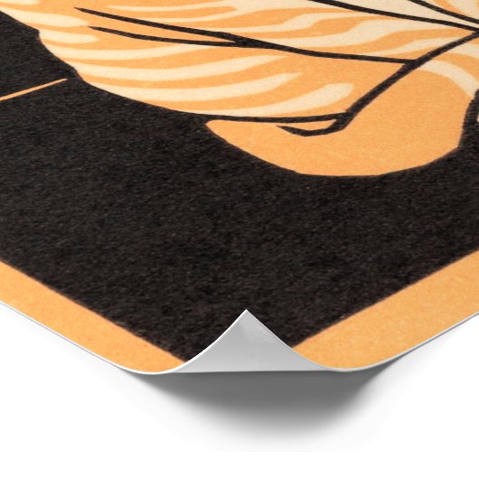 Cat Print, Value Poster Paper (Matte) (Ecke)