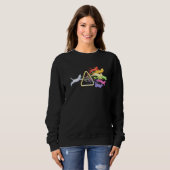Cat Prism Rainbow Light Physical Science Spektral Sweatshirt (Vorne ganz)