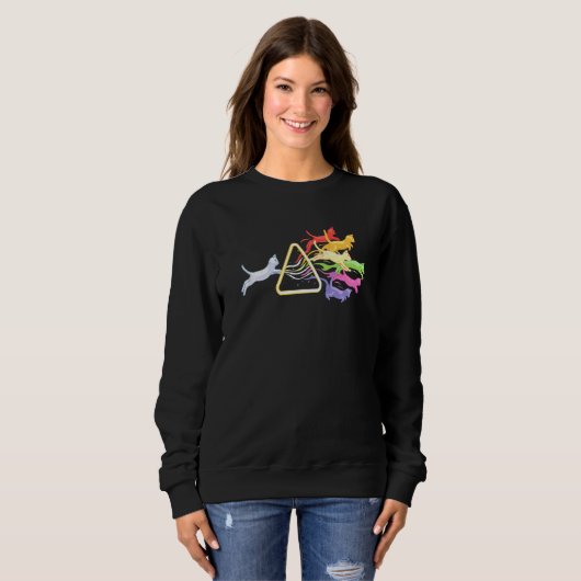 Cat Prism Rainbow Light Physical Science Spektral  Sweatshirt (Vorne ganz)